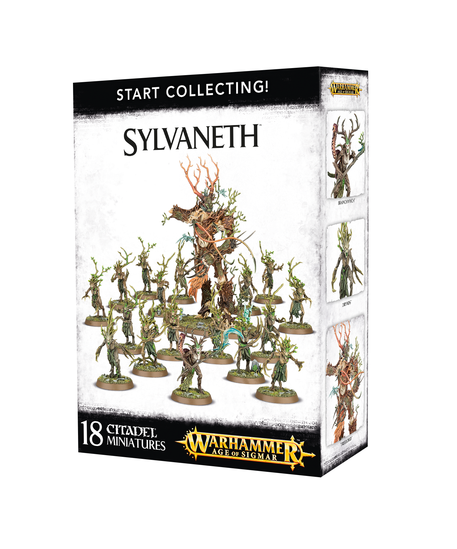Age of Sigmar: Start Collecting! - Sylvaneth