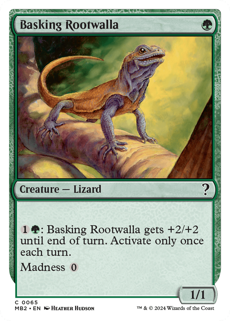 Basking Rootwalla (0065)