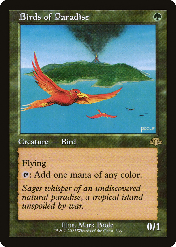 Birds of Paradise (336)