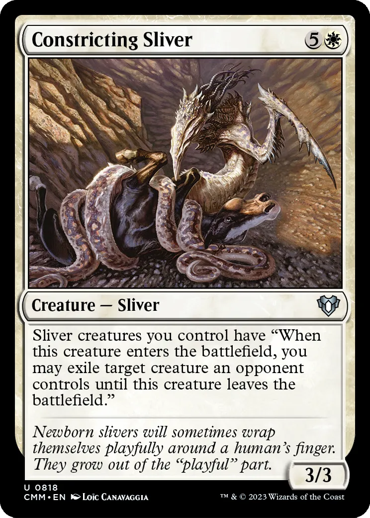 Constricting Sliver (0818)