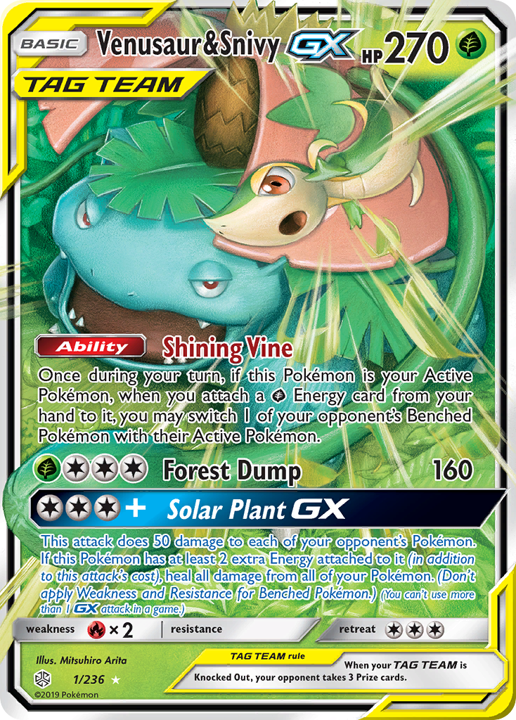 Venusaur & Snivy GX (1/236)