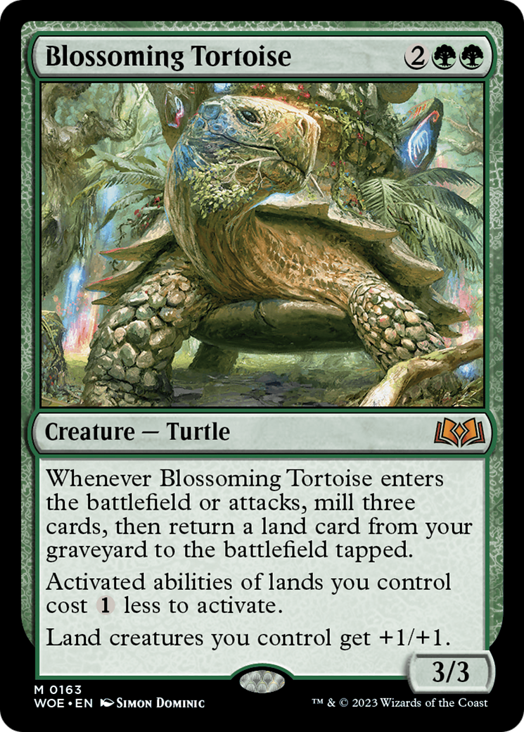 Blossoming Tortoise (0163)